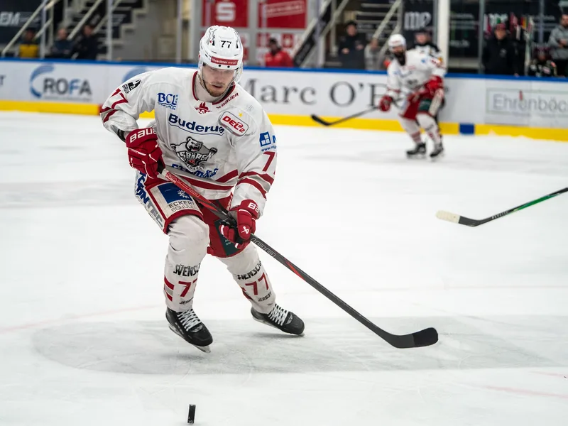 Donát Péter (77), Eisbären Regensburg, führt den Puck beim Angriff konzentriert über das Eis.
